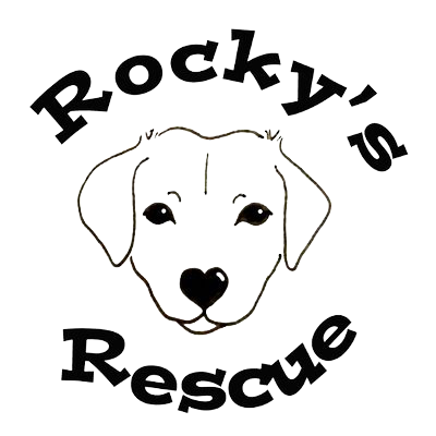 Rocky's Rescue